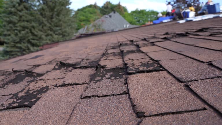 Best Roof Coating and Sealing  in Mccord, OK